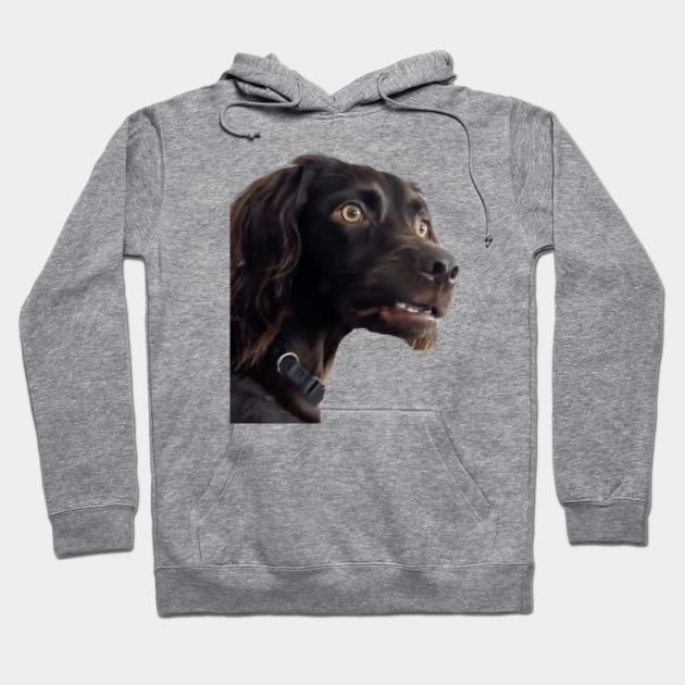 Confused Dogs Shirt, Awkward Dogs, Awkward Staring, Two Dogs Staring Matching Hoodie by CamavIngora